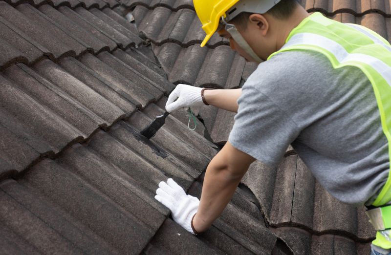 Roofing Consultation